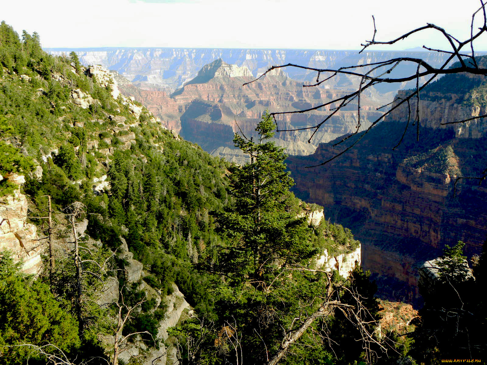 grand, canyon, , , 